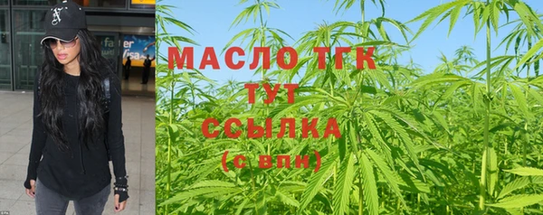 дмт Бородино