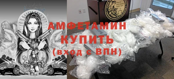 дмт Бородино