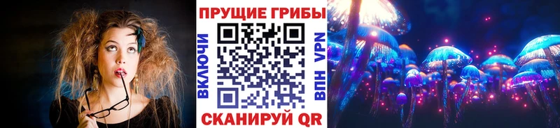 Псилоцибиновые грибы прущие грибы  купить закладку  Великий Устюг 